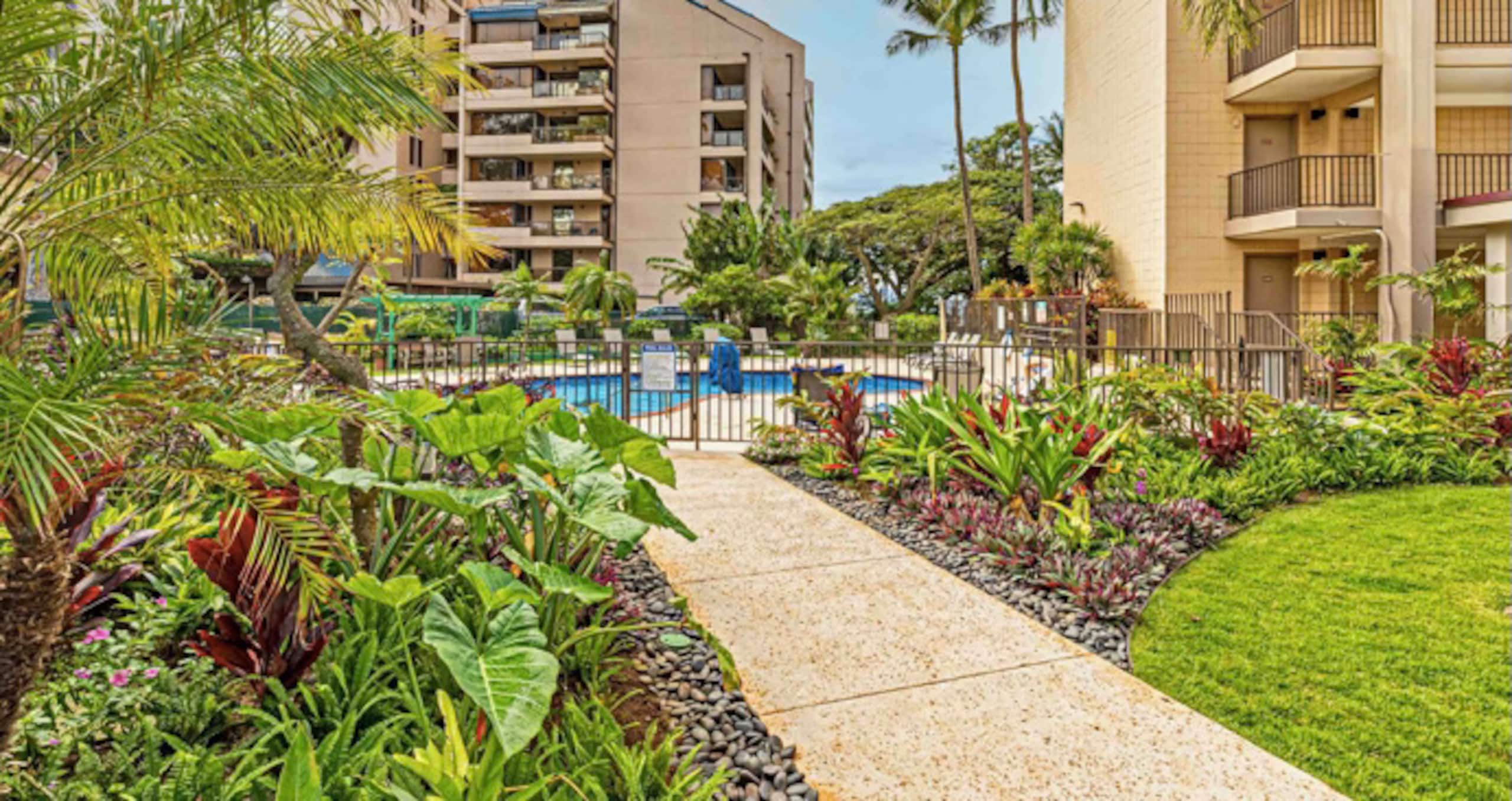 Condo in Lahaina · ★4.95 · 1 bedroom · 2 beds · 1 bath - Image 28