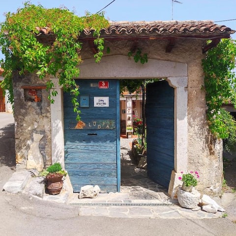 Charming stone house with private terrace (5+1)