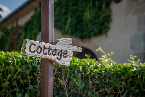 Monclar de Quercy: calm, pool and view