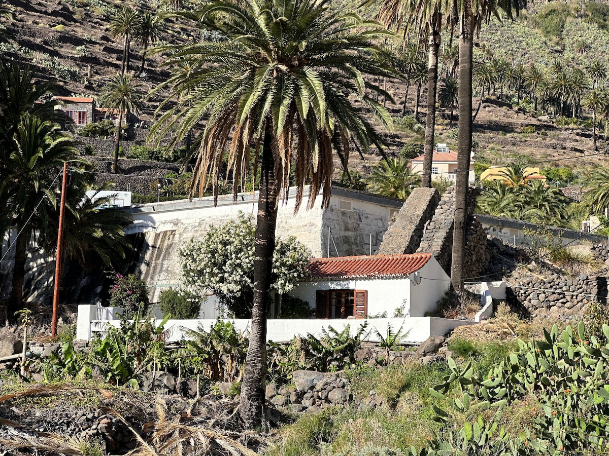 The exterior of the Tiny House is framed by lush palm trees and greenery, with a traditional tiled roof and stone wall elements. Surrounding terraced fields are visible, reflecting the natural landscape of Valle Gran Rey.