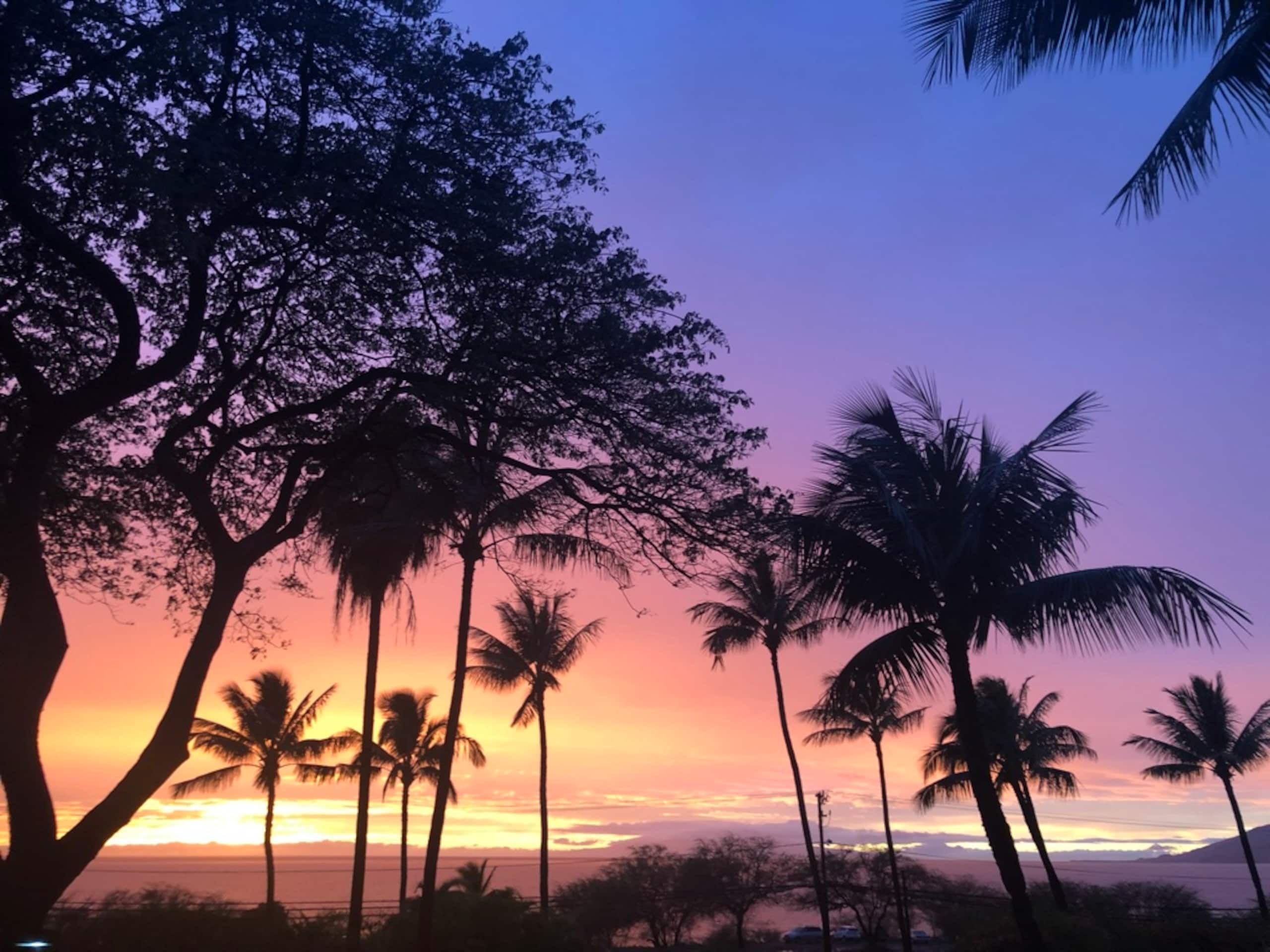 Condo in Kihei · ★4.94 · 2 bedrooms · 3 beds · 2 shared baths - Image 33
