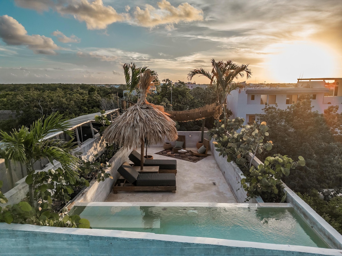 Award Winner Penthouse Private Rooftop & Pool D9 - Condominiums for ... - Private Condominiums With Rooftop Pool And Private Dining