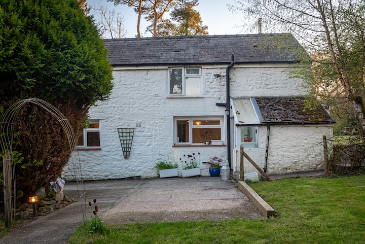 Ty Aderyn, Hirwaun, Brecon Beacons, Sleeps 10 - South Wales