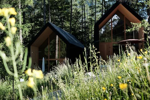Successful Airbnb property: Modern alpine chalets on the edge of the forest in Brand