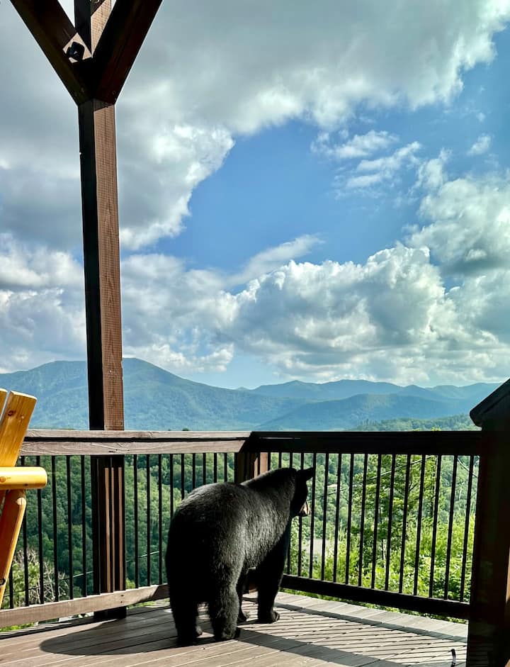 New, Stunning Views! Hot Tub, Fire Pit, Game Room! - Gatlinburg, TN