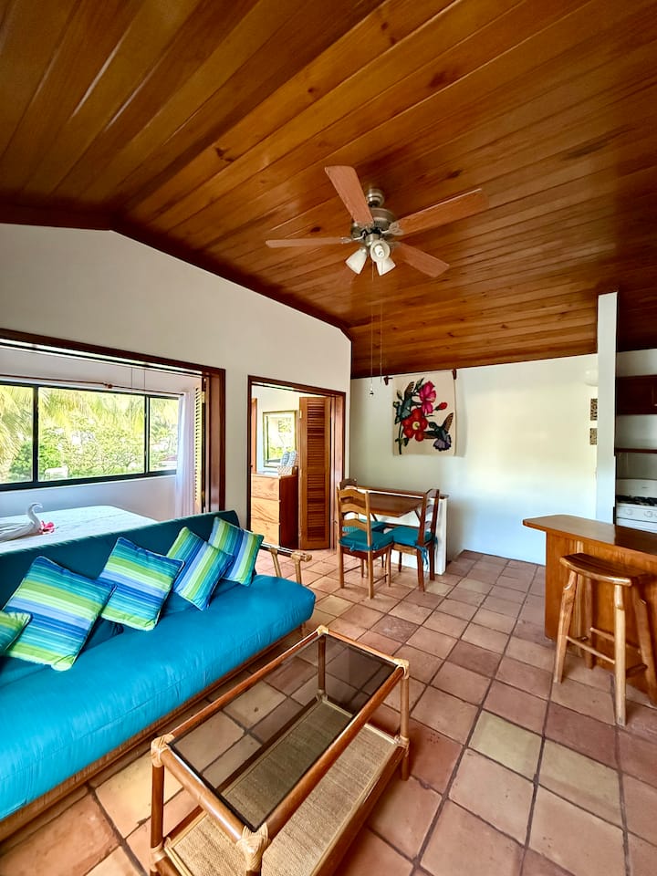 Pv 15b Gold Std Two-bedroom-in Town - Belize