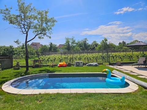 In the heart of the vineyards☆pool Garden☆Terrace☆parking