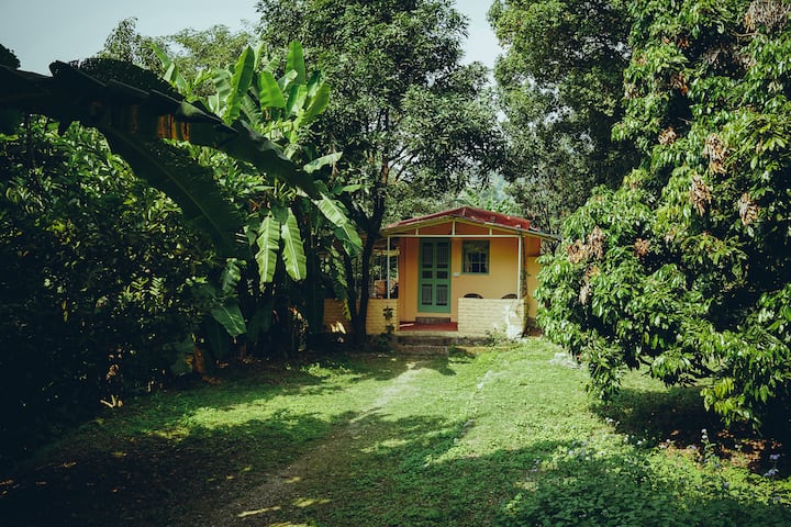 Ammasari On The Rispana - Uttarakhand