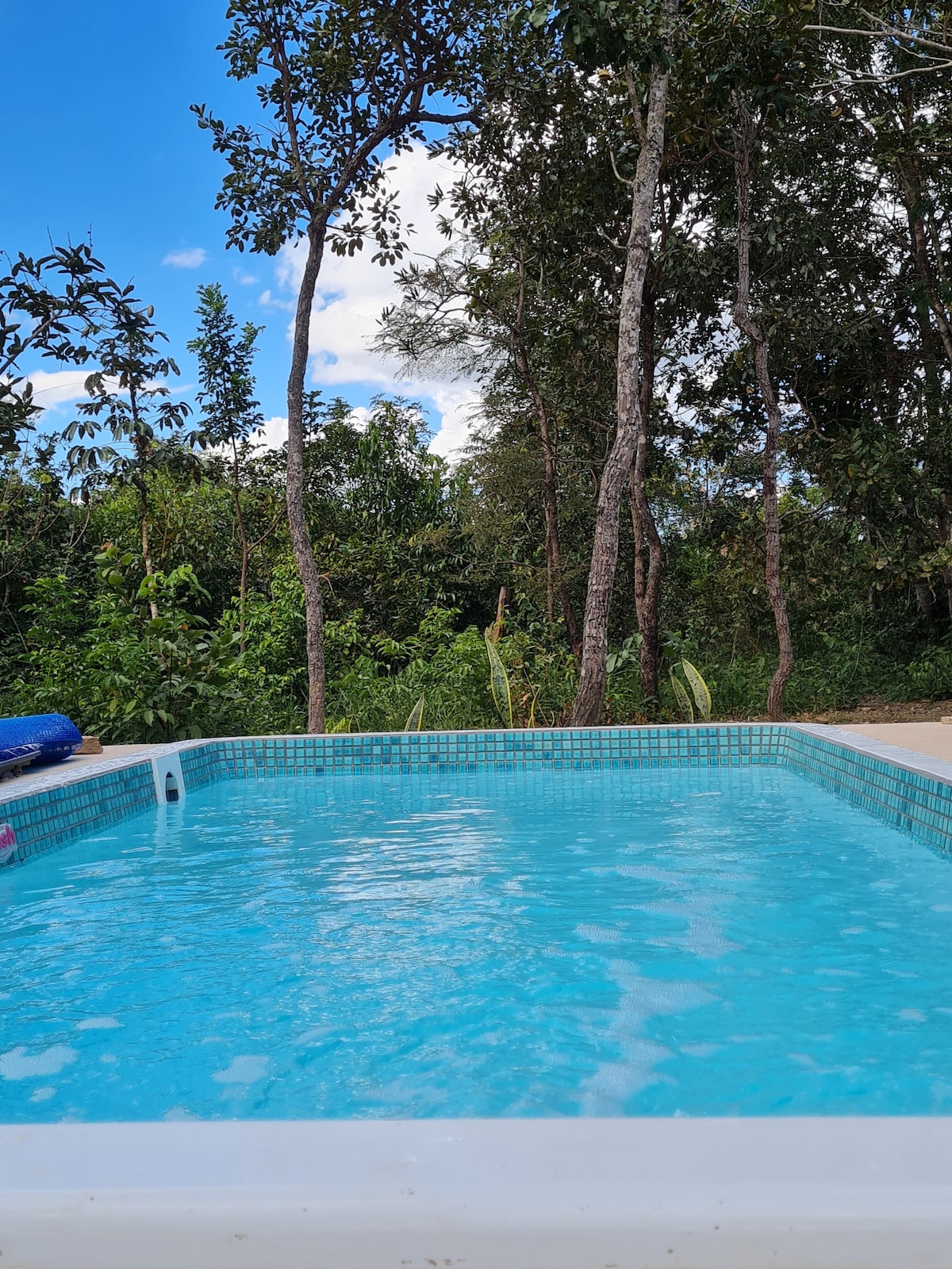The private pool is surrounded by lush greenery and trees, providing a serene escape. The water is clear, reflecting the blue sky above, enhancing the natural beauty of the environment. A paved area nearby offers space for relaxation.