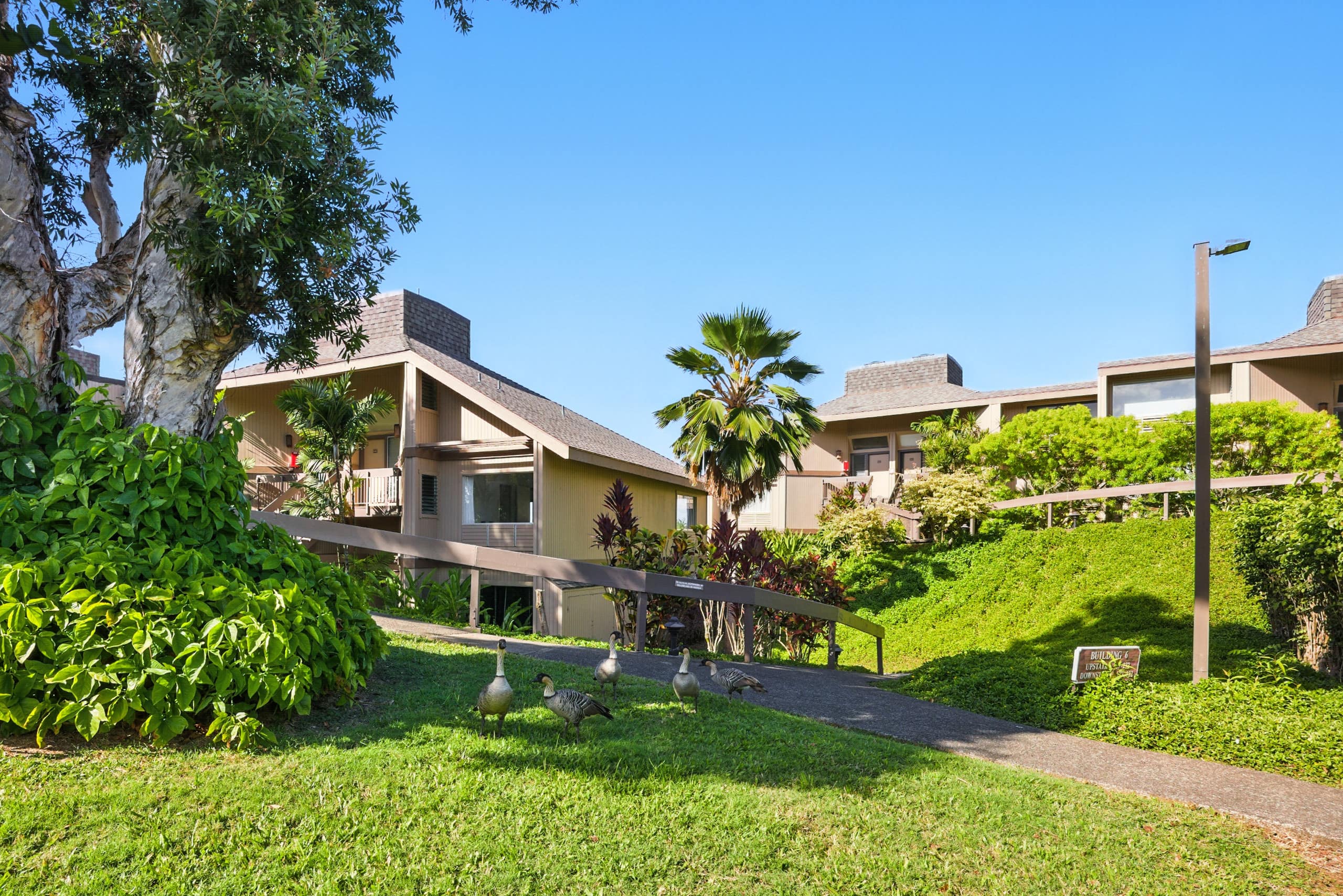 Private Getaway w/ Oceanfront Views Near Hanalei! - Photo 26