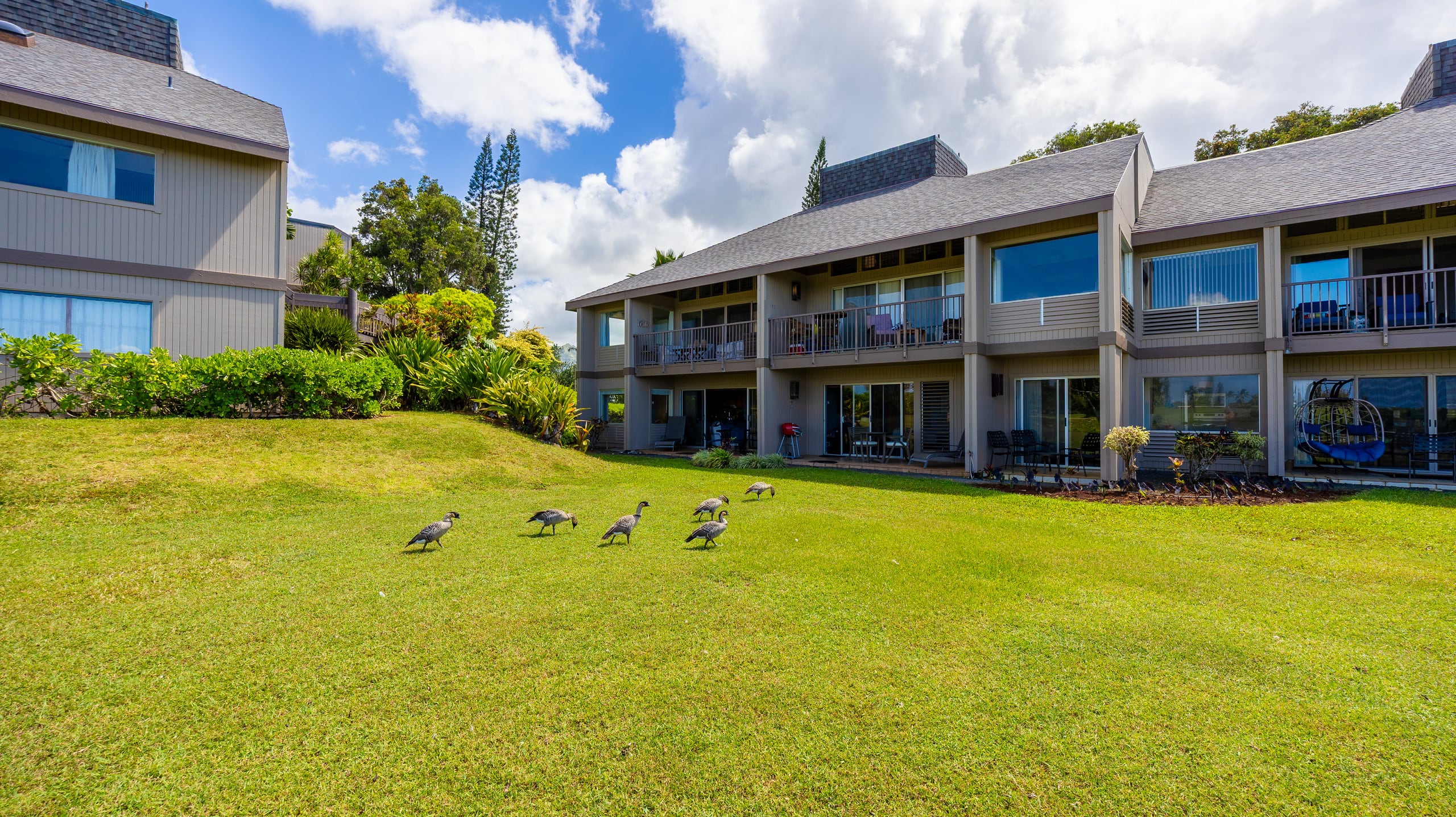 Private Getaway w/ Oceanfront Views Near Hanalei! - Photo 23