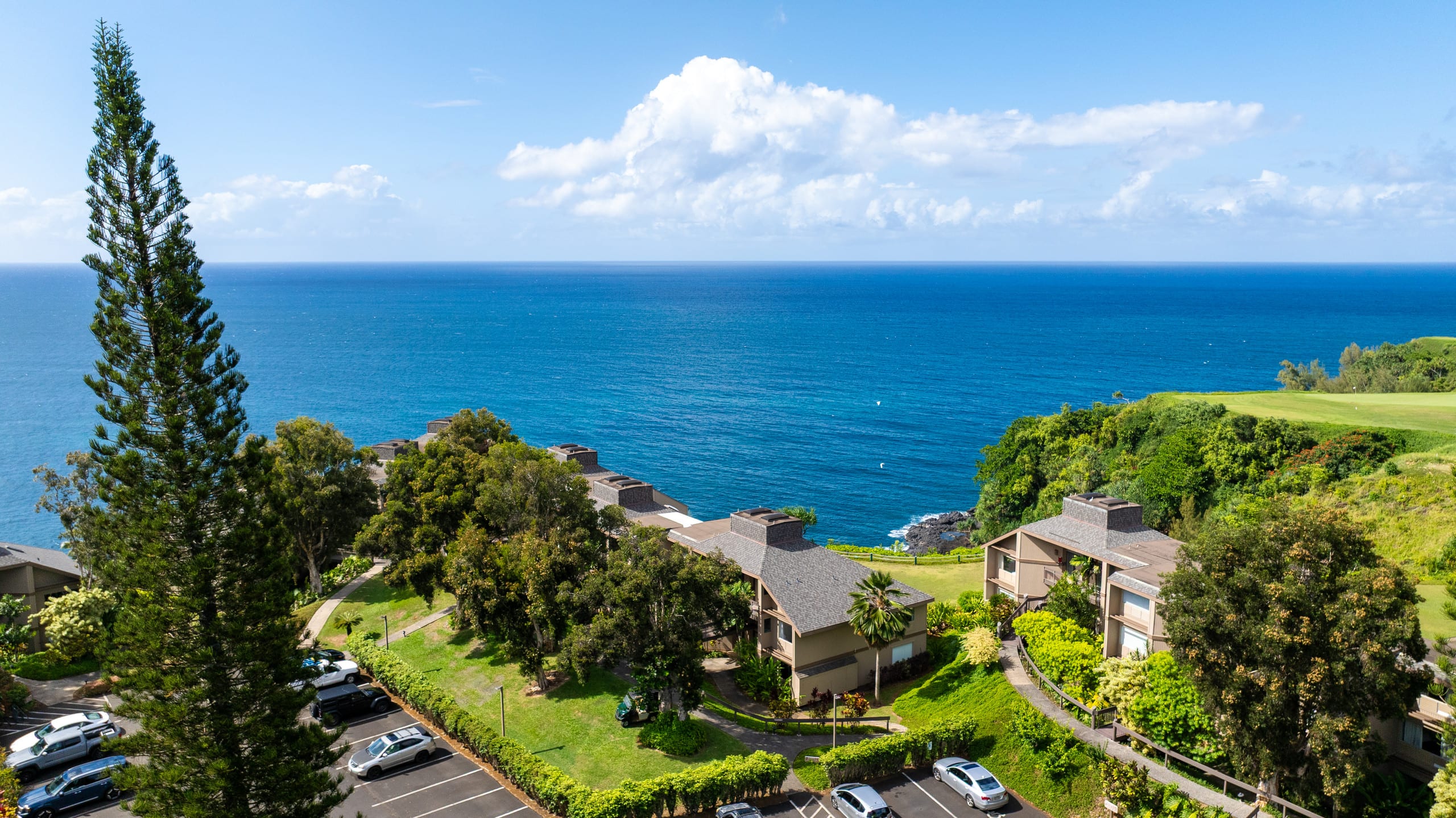 Private Getaway w/ Oceanfront Views Near Hanalei! - Photo 44