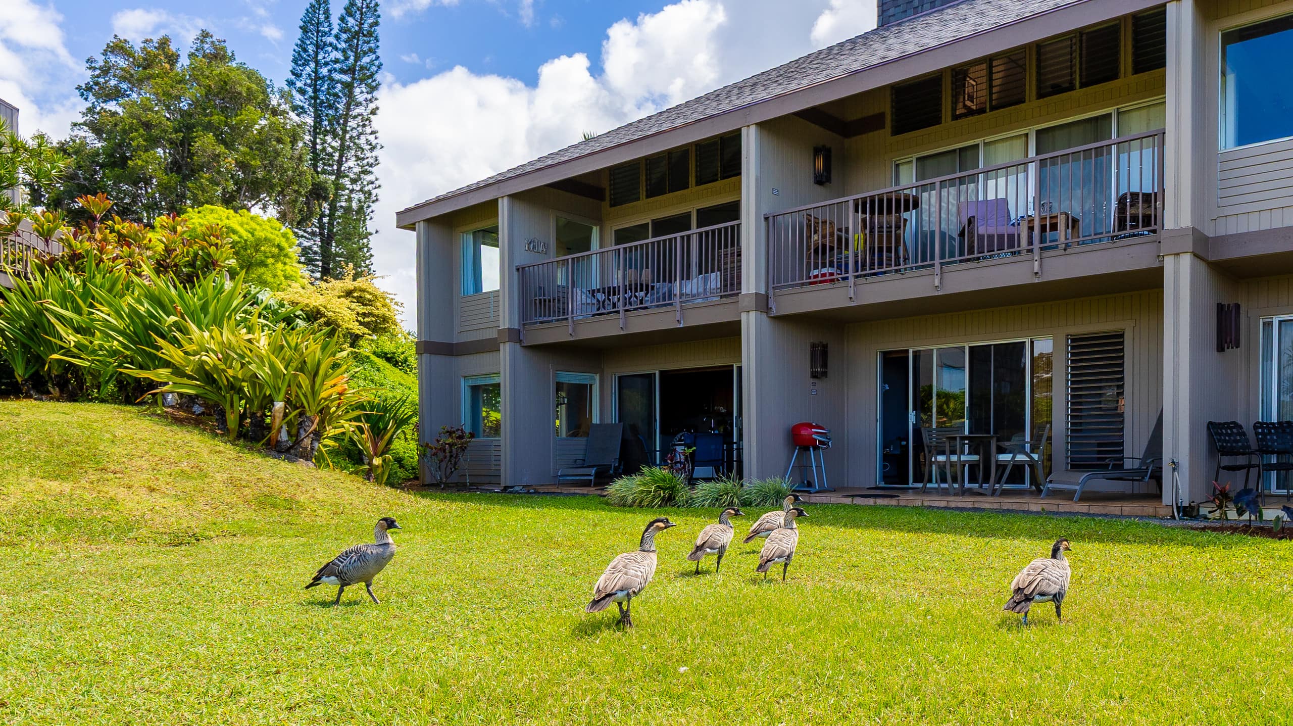 Private Oceanfront Retreat w/ Views Near Hanalei! - Image 41
