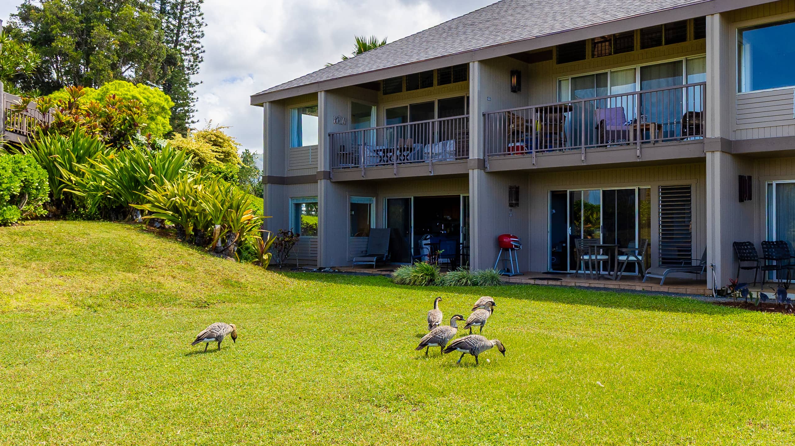 Private Oceanfront Retreat w/ Views Near Hanalei! - Image 39