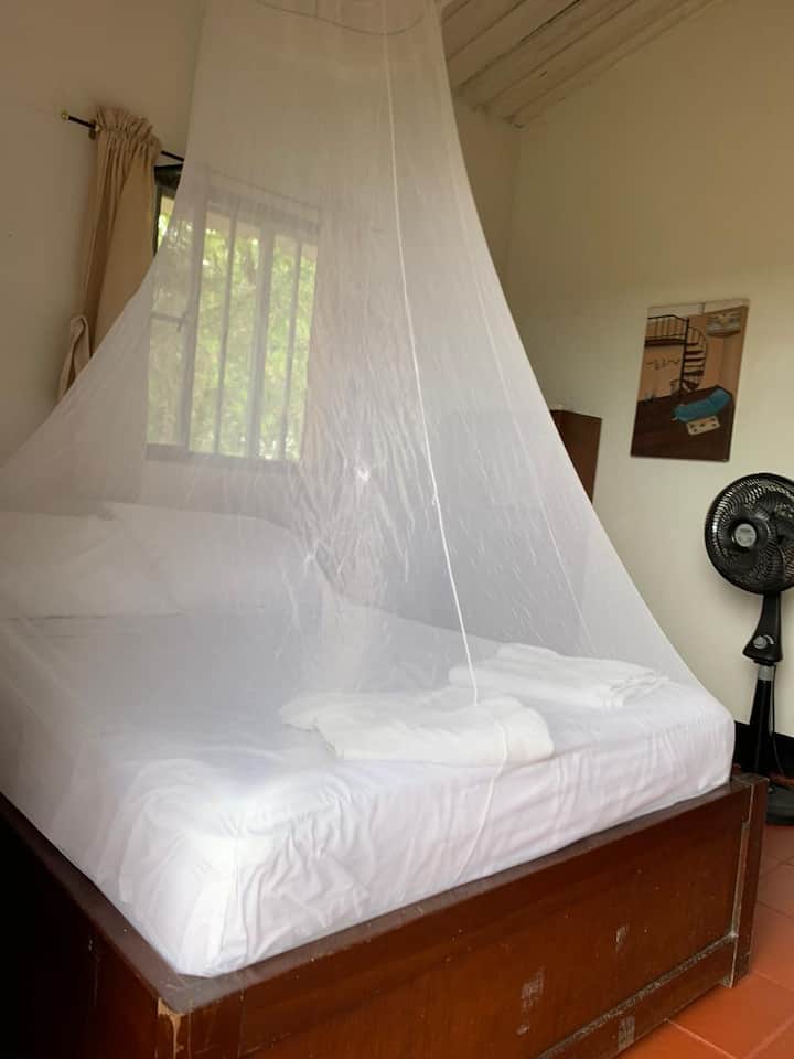 Chambre 4