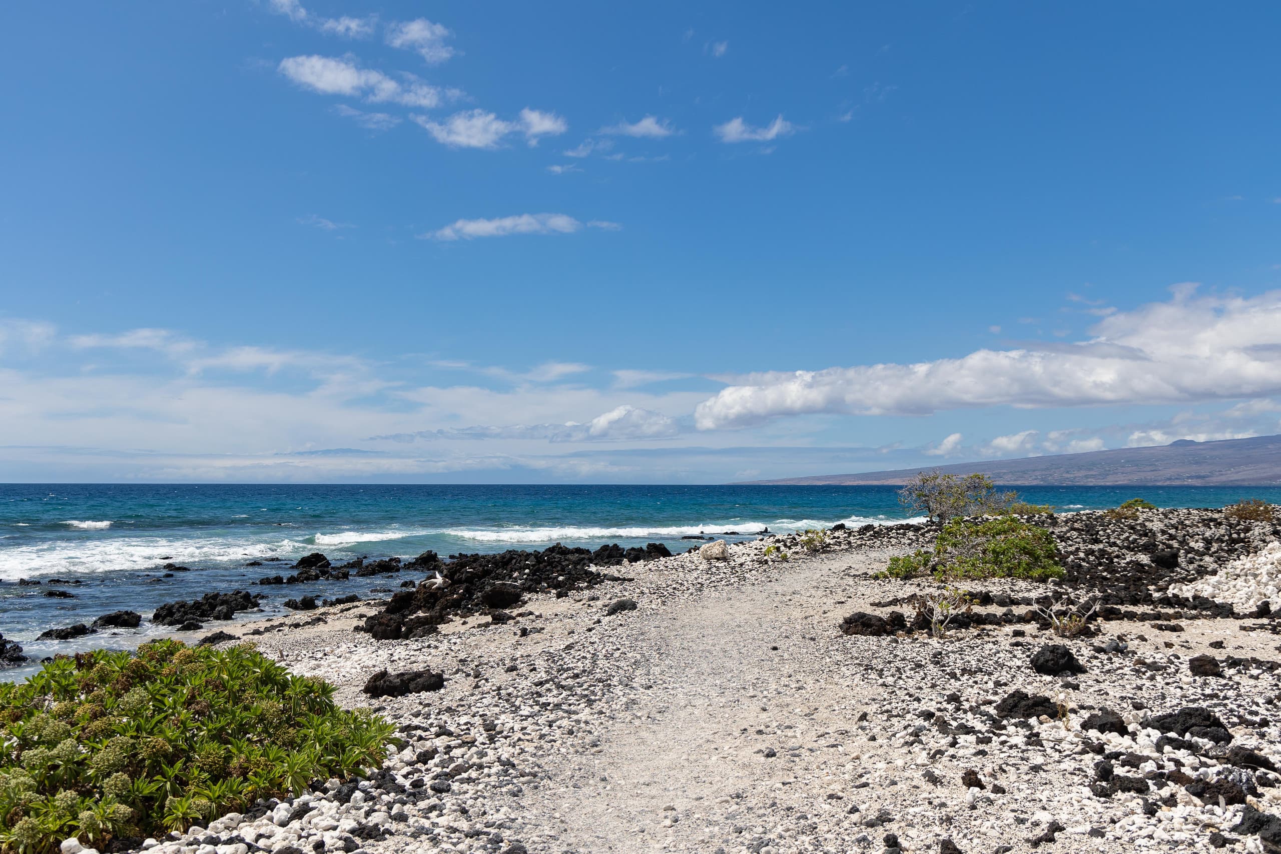 Townhouse in Waimea · ★4.98 · 3 bedrooms · 5 beds · 2 baths - Image 75