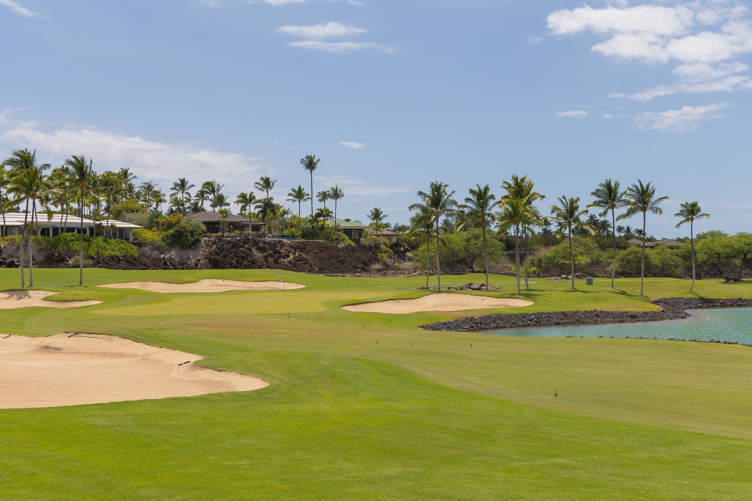Townhouse in Waimea · ★4.98 · 3 bedrooms · 5 beds · 2 baths - Image 66