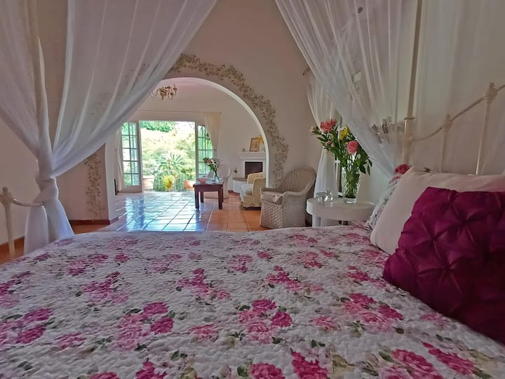 Habitación 1
