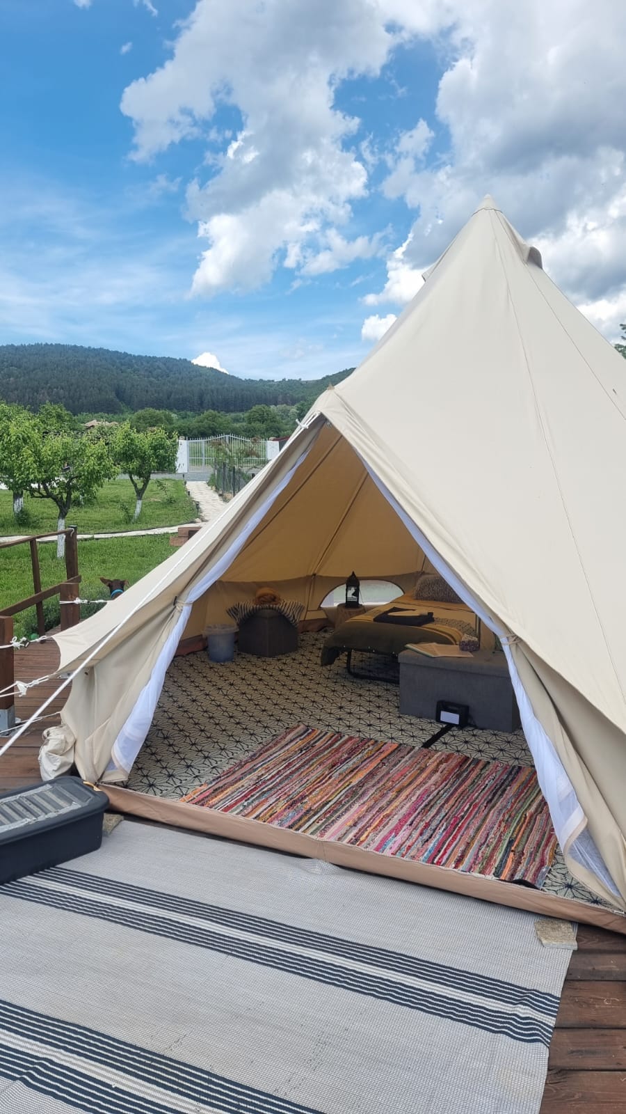 A spacious Bell Tent is situated on private decking, featuring a patterned rug and floor cushions for seating. Inside, a low table is positioned among the twin beds, with natural light filtering in through the open entrance, providing views of the surrounding orchard and hills.