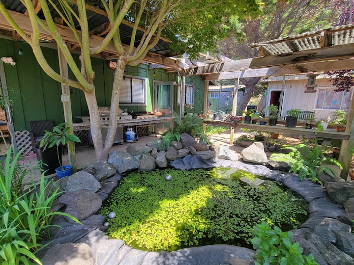 Pet Friendly Inglenook Bungalow - Fort Bragg, CA