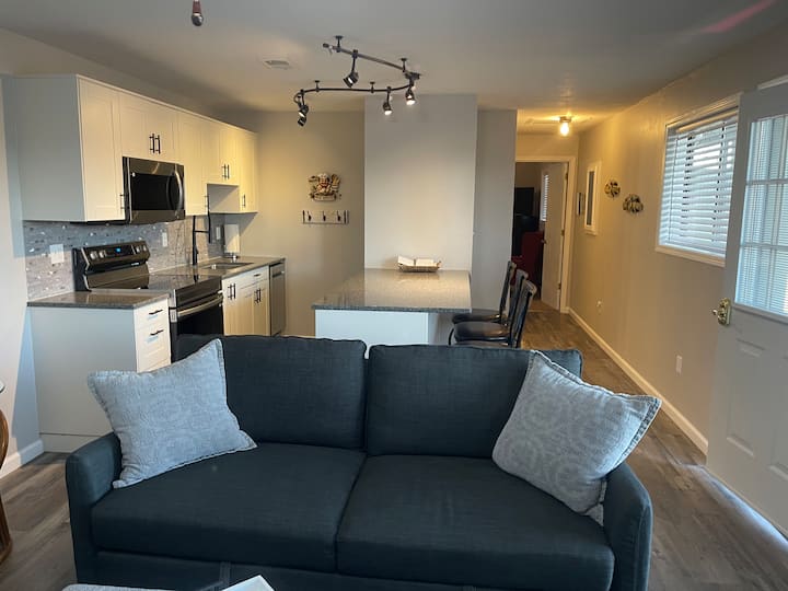 غرفة المعيشة/ المطبخ