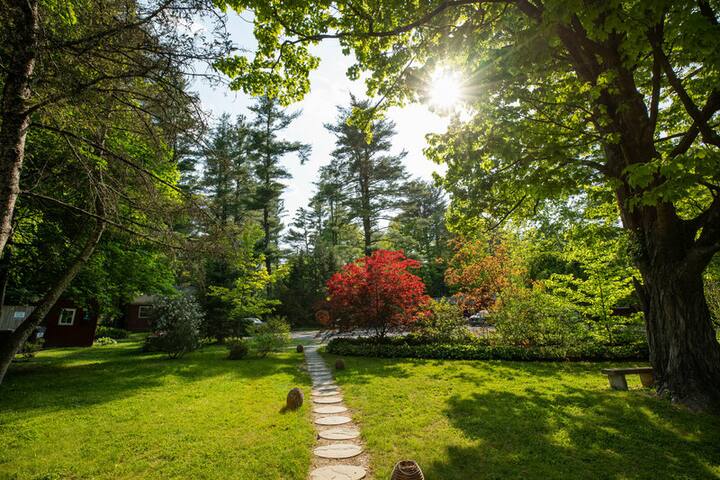 Phoenicia Lodge managed Airbnb listing 2