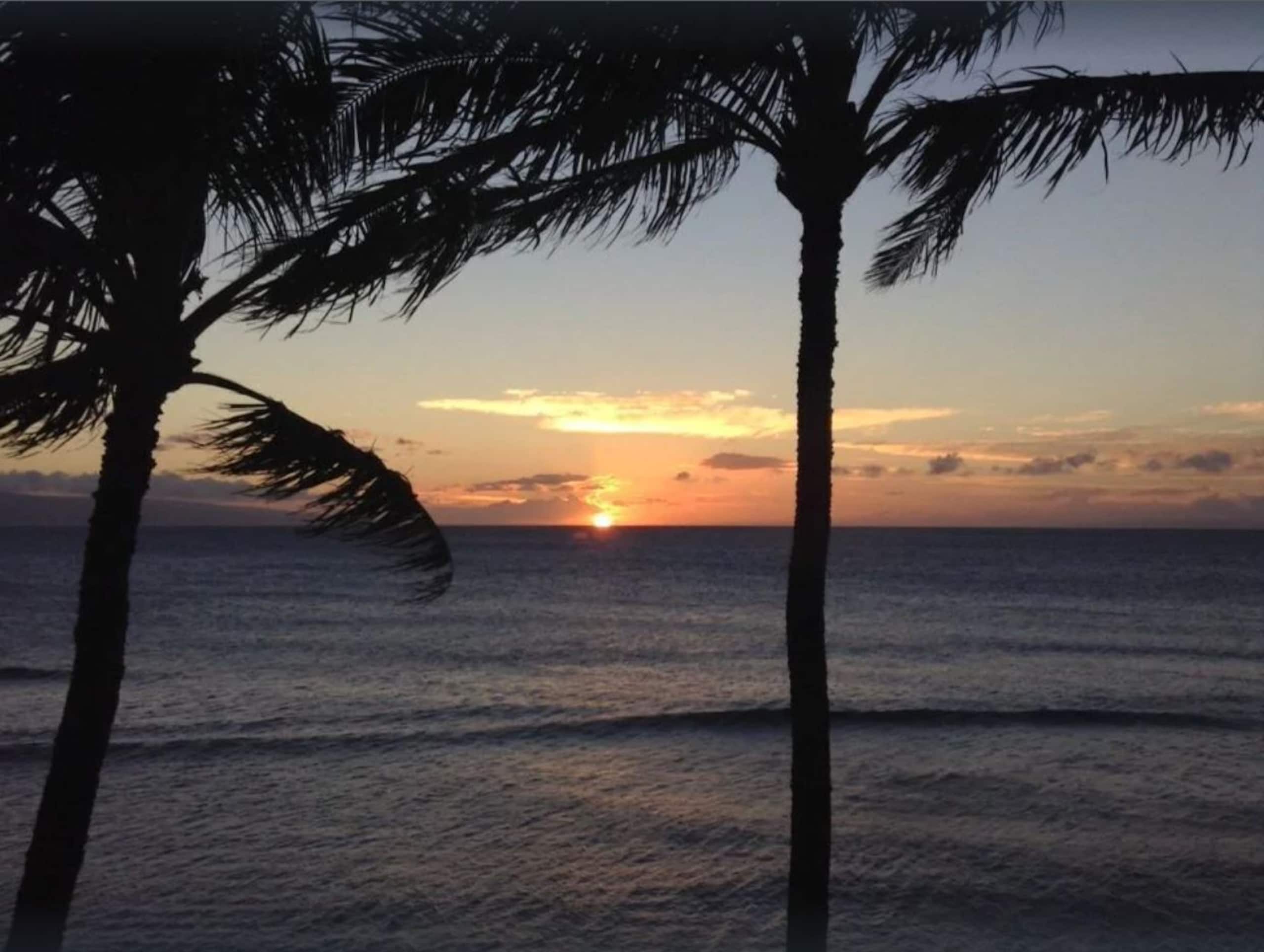 Condo in Lahaina · ★4.83 · 1 bedroom · 2 beds · 1 bath - Image 30