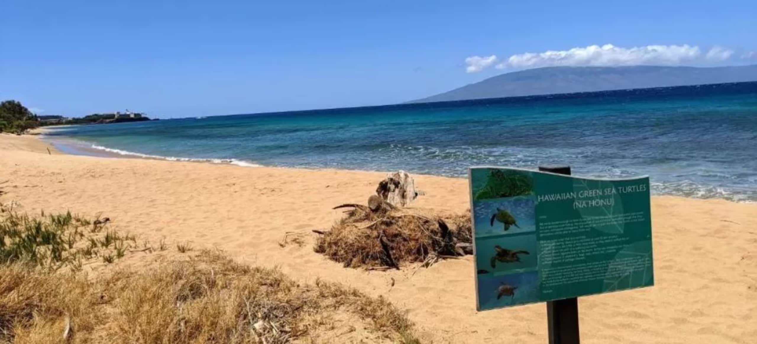 Condo in Lahaina · ★4.83 · 1 bedroom · 2 beds · 1 bath - Image 25