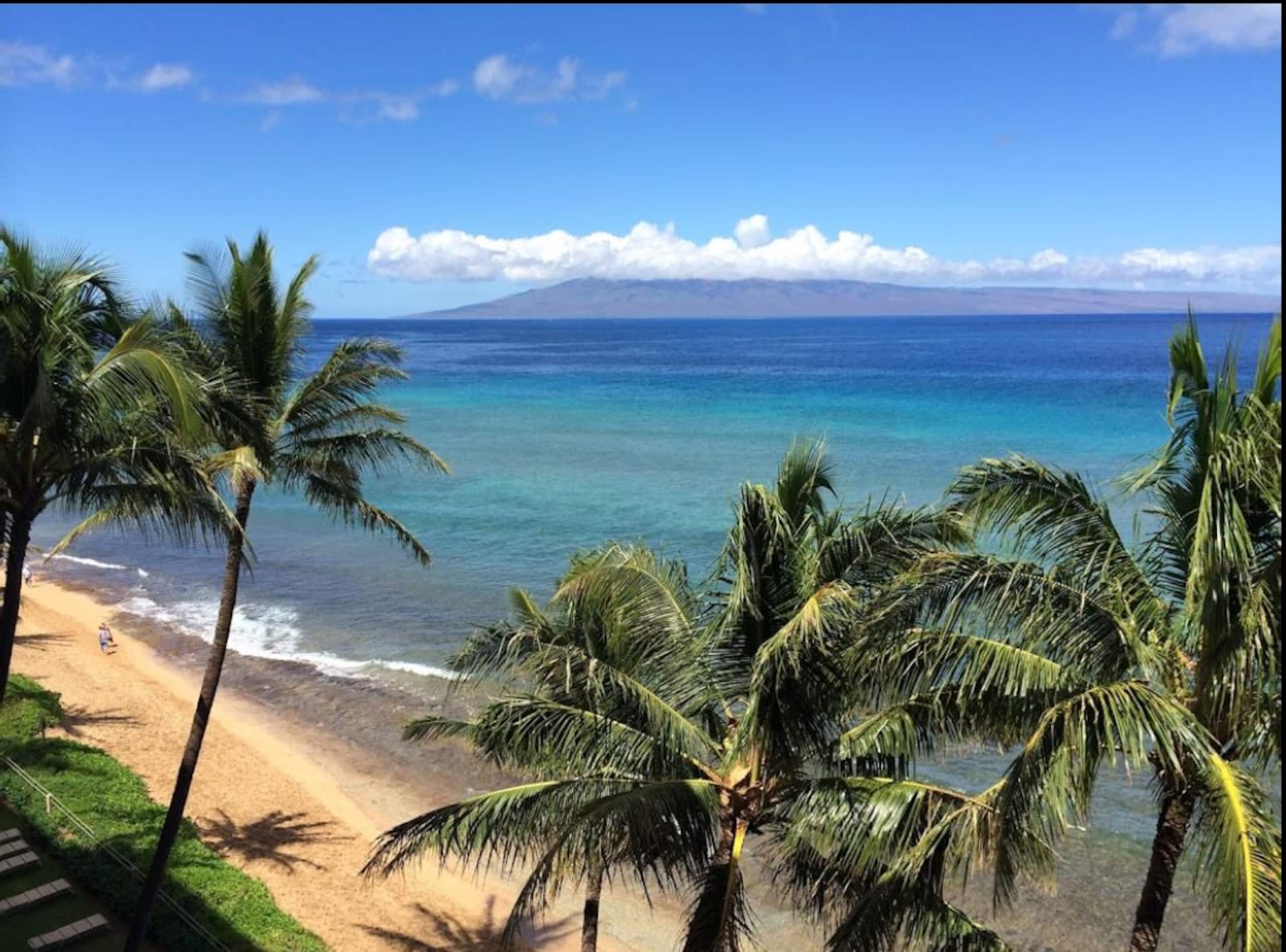 Condo in Lahaina · ★4.83 · 1 bedroom · 2 beds · 1 bath - Image 21
