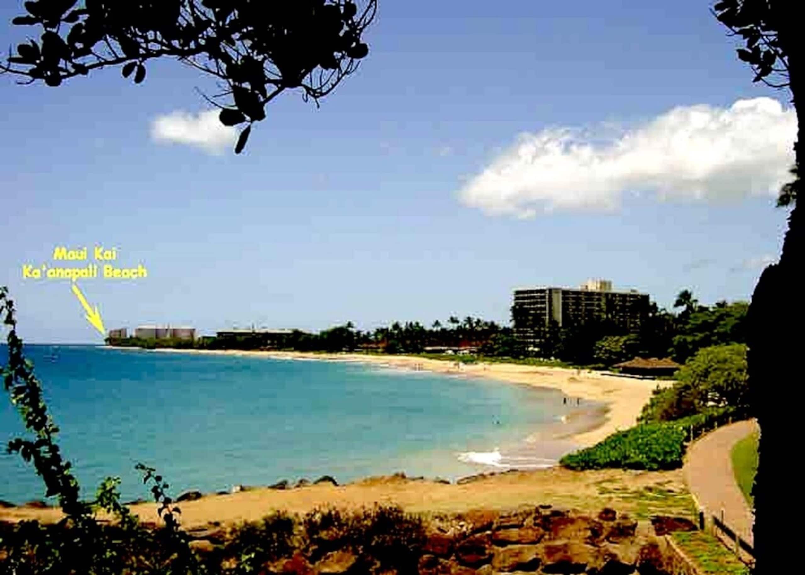 Condo in Lahaina · ★4.83 · 1 bedroom · 2 beds · 1 bath - Image 15
