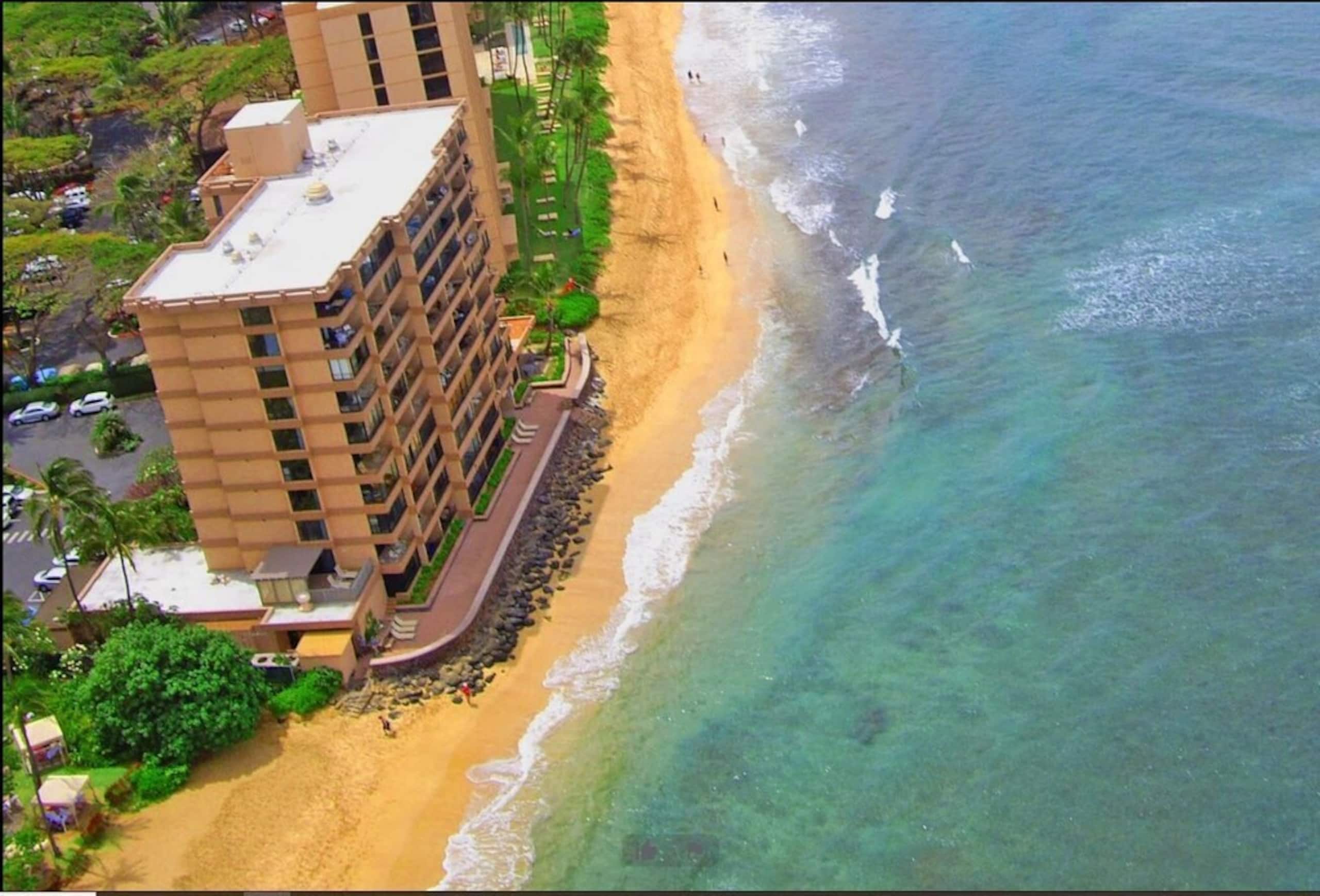 Condo in Lahaina · ★4.83 · 1 bedroom · 2 beds · 1 bath - Image 13