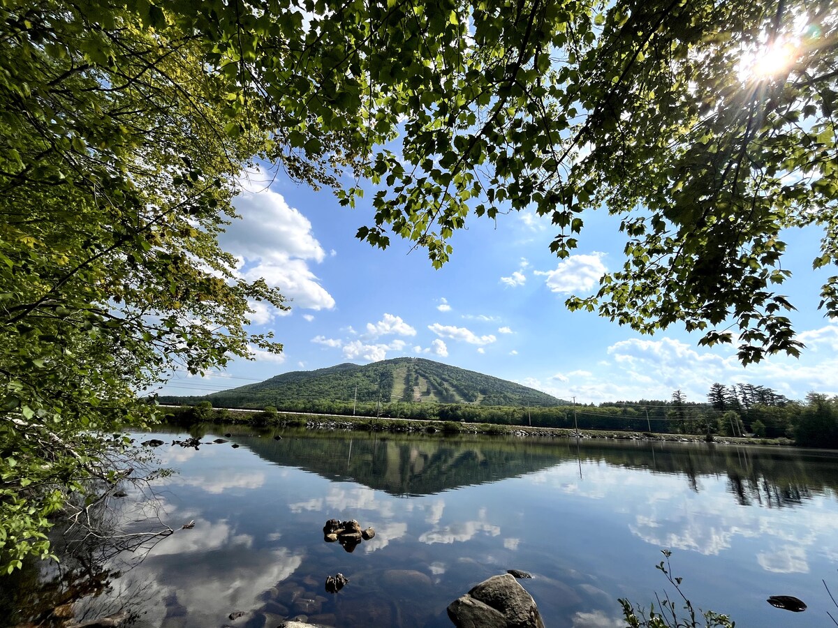 A serene view of Pleasant Mountain is framed by lush green foliage. The calm waters reflect the mountain and cloudy sky, creating a peaceful natural scene. Occasional rocks are visible in the foreground, enhancing the tranquil atmosphere.