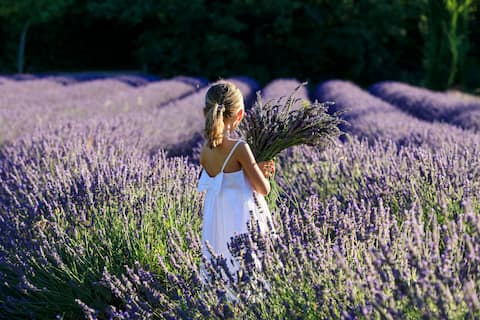 At home in Provence