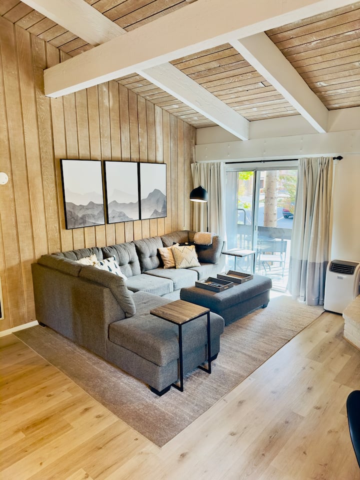 Queen sofa bed and comfy couch.