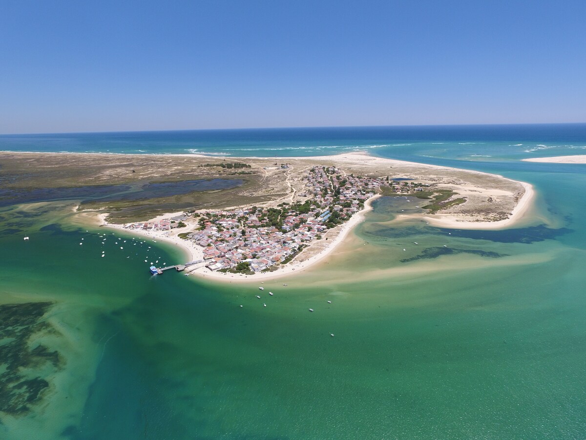 An aerial view of Armona Island is presented, showcasing its sandy shores and surrounding turquoise waters. The landscape features residential areas with a cluster of houses nestled amid greenery, with boats visible along the coastline. The serene environment highlights the island's natural beauty.