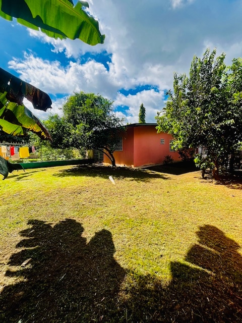 Shared backyard image 1 at Habitación #3 Limón in David
