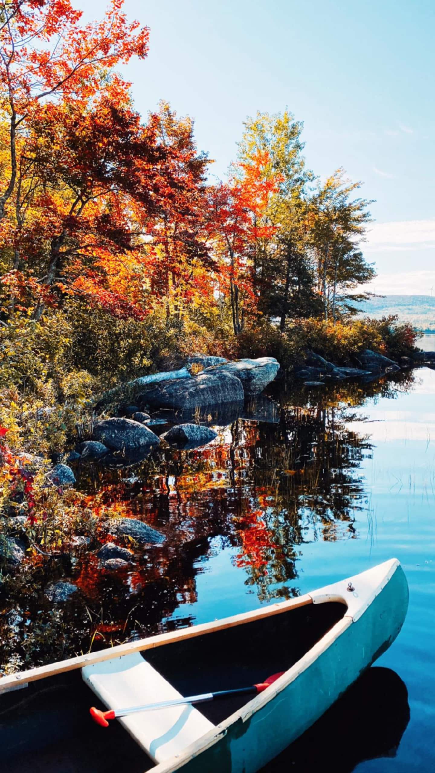 Secluded Waterfront Cabin view 3