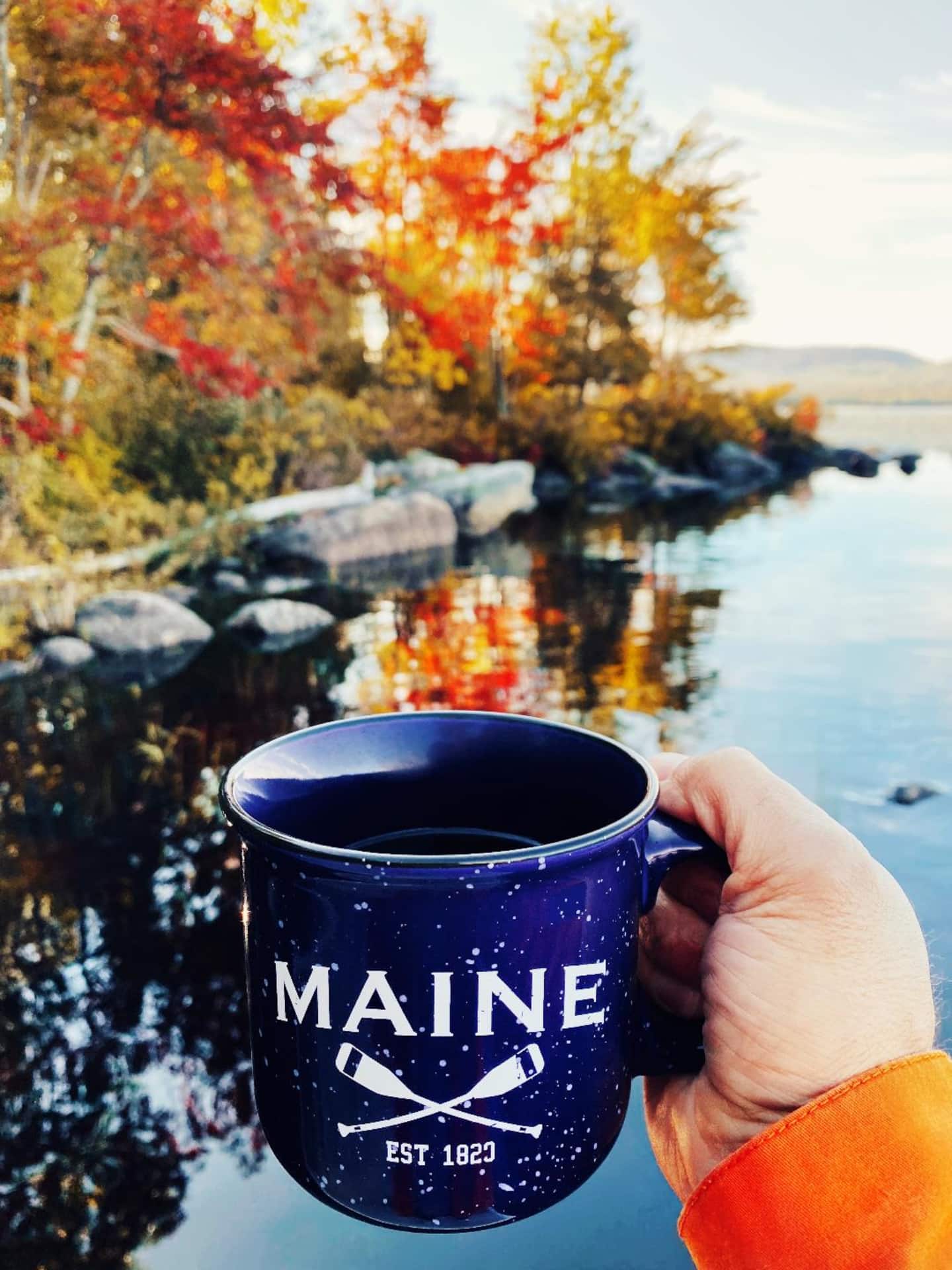 Secluded Waterfront Cabin view 2