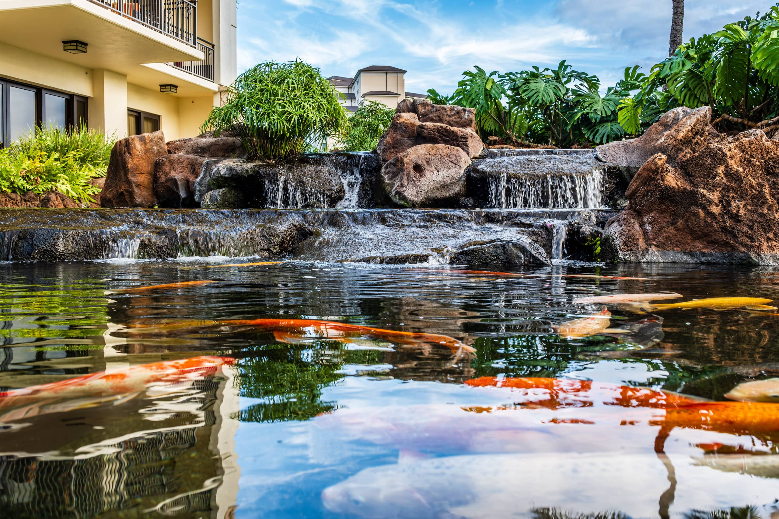 Condo in Kapolei · ★4.94 · 2 bedrooms · 5 beds · 2 private baths - Image 34
