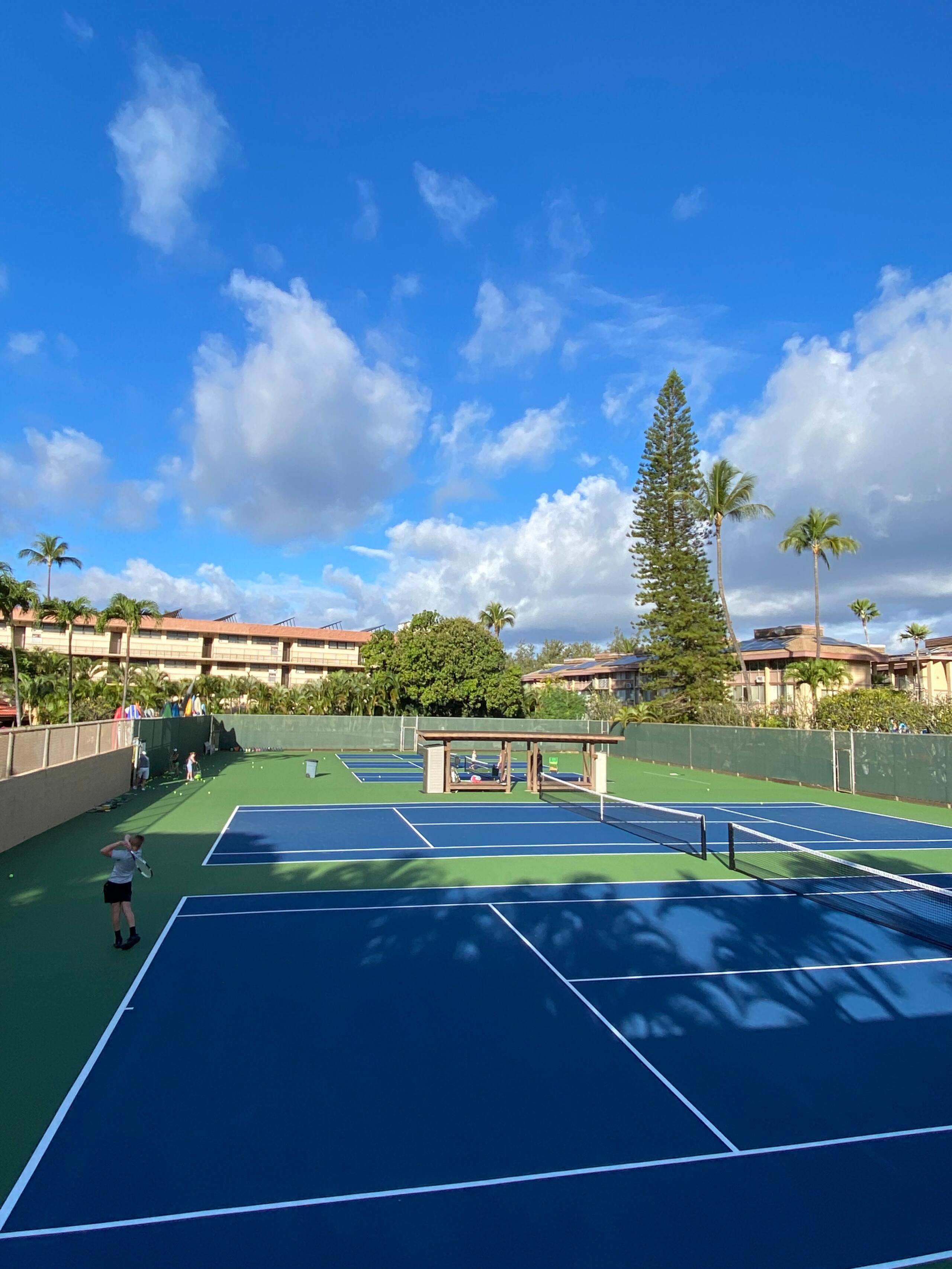 Condo in Kihei · ★5.0 · 1 bedroom · 1 bed · 2 baths - Image 16