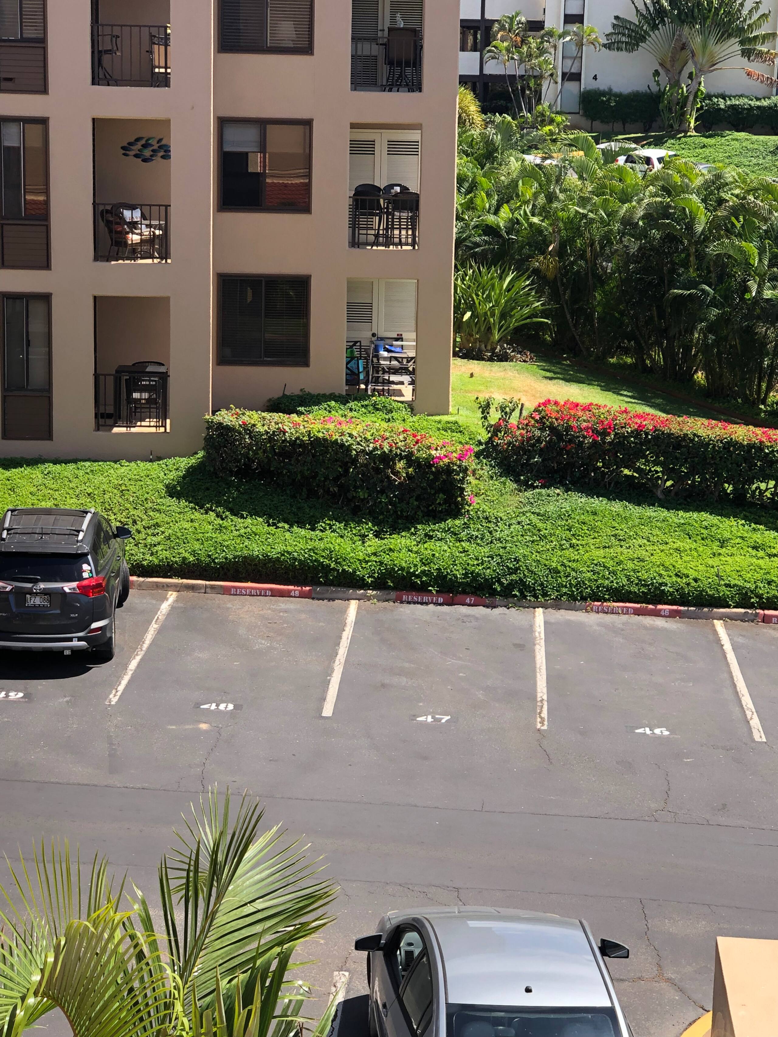 Condo in Kihei · ★5.0 · 1 bedroom · 1 bed · 2 baths - Image 15