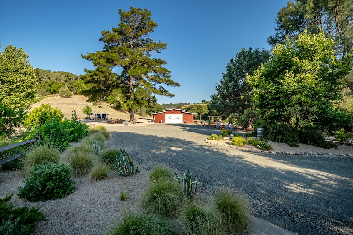 The tranquil driveway leads through a landscaped area featuring a mix of greenery and desert plants. A red barn is visible in the distance, set against a backdrop of rolling hills and towering trees. The open sky ensures ample natural light across the scene.