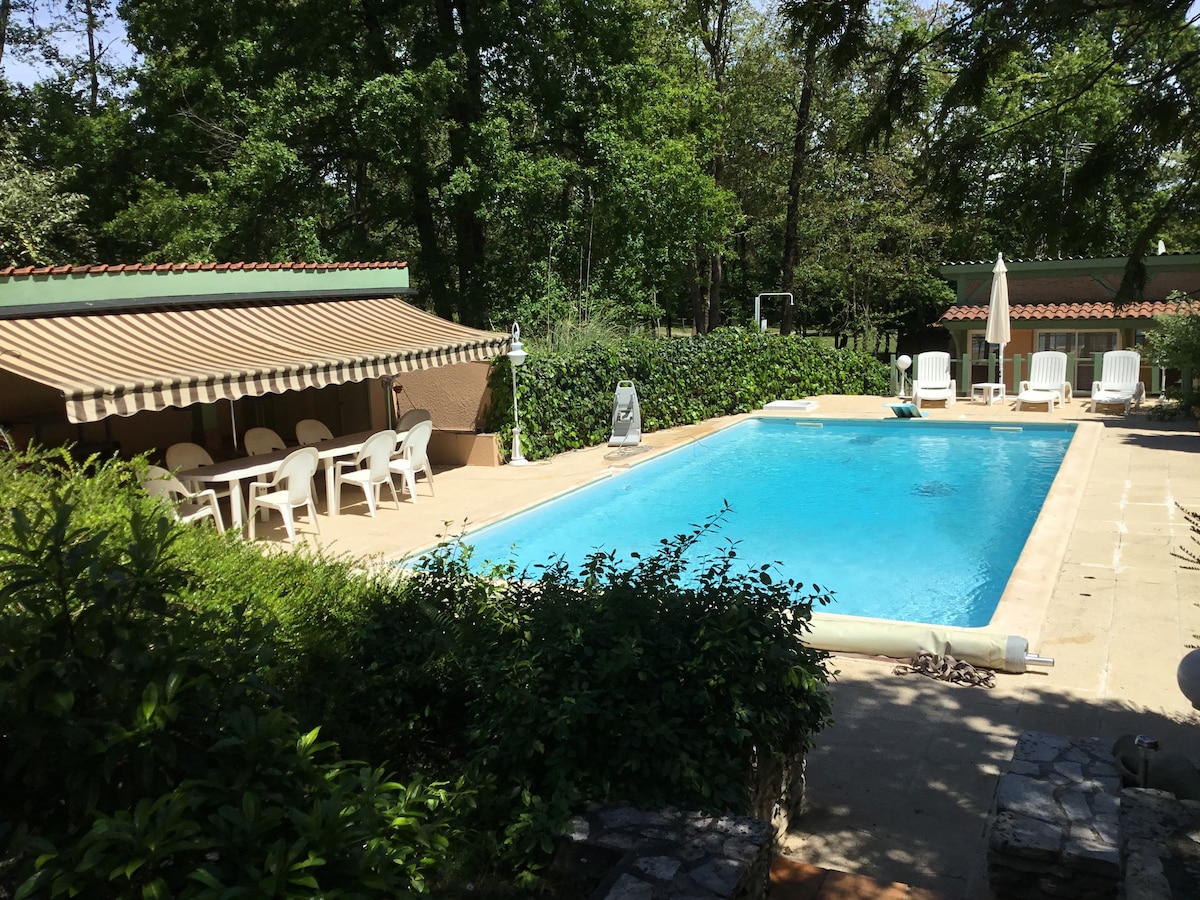 A serene outdoor area features a clear swimming pool surrounded by lush greenery. Lounge chairs and dining tables are arranged on the pool deck, providing ample space for relaxation. An awning offers shaded seating, creating a comfortable gathering spot.