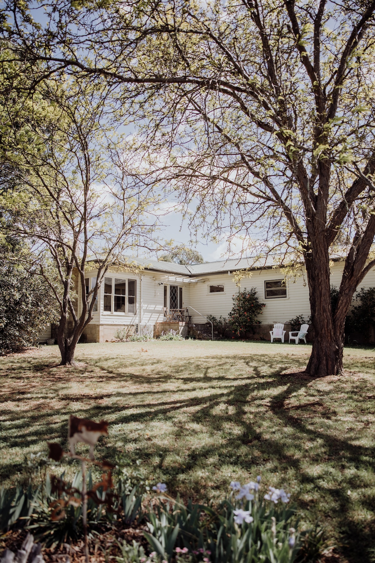 A large, grassy yard is framed by two mature trees, casting playful shadows on the ground. The farmhouse is visible in the background, featuring a covered porch and large windows. White chairs are positioned near the entrance, inviting relaxation.
