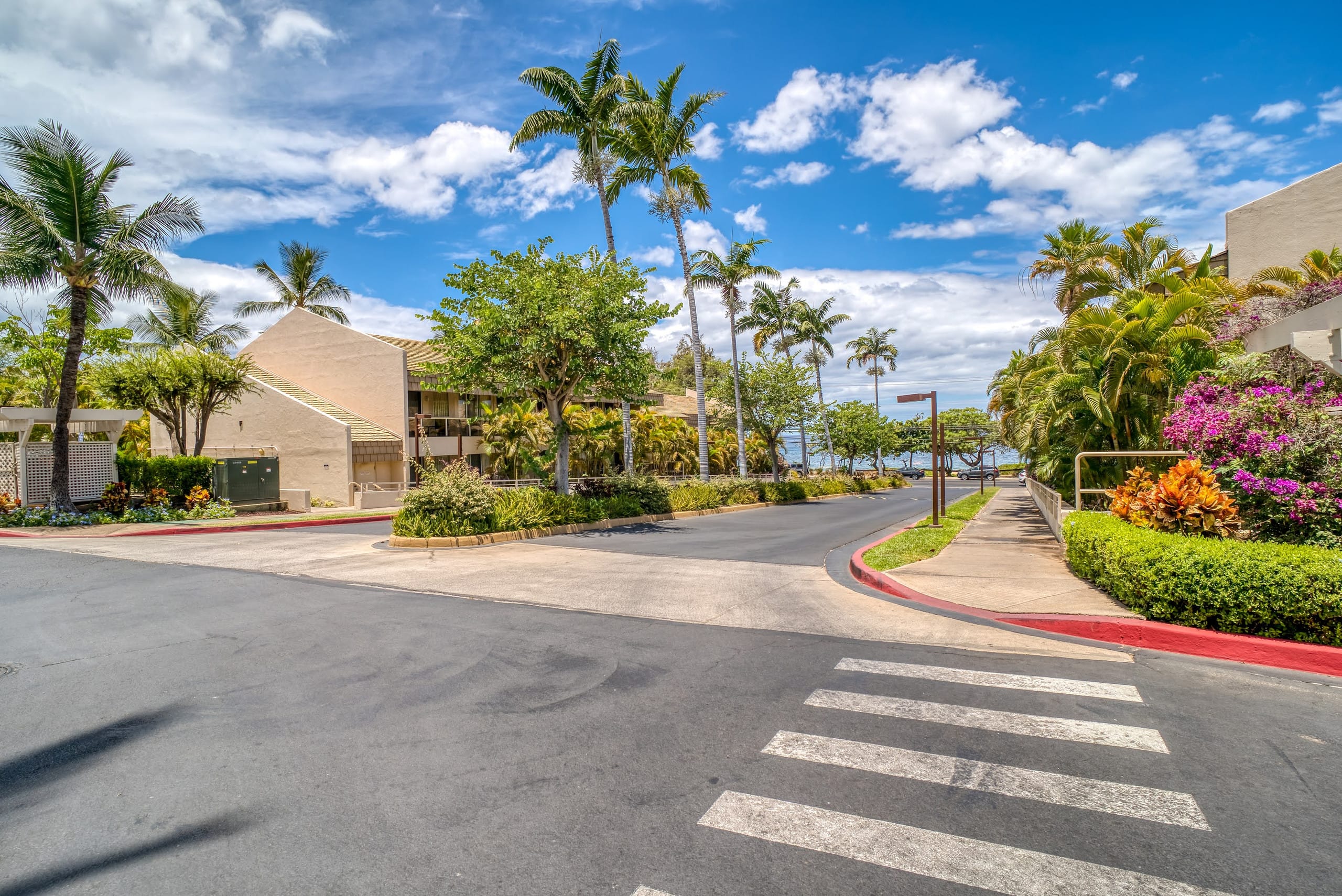 Condo in Kihei · ★4.81 · Studio · 1 bed · 1 private bath - Image 20