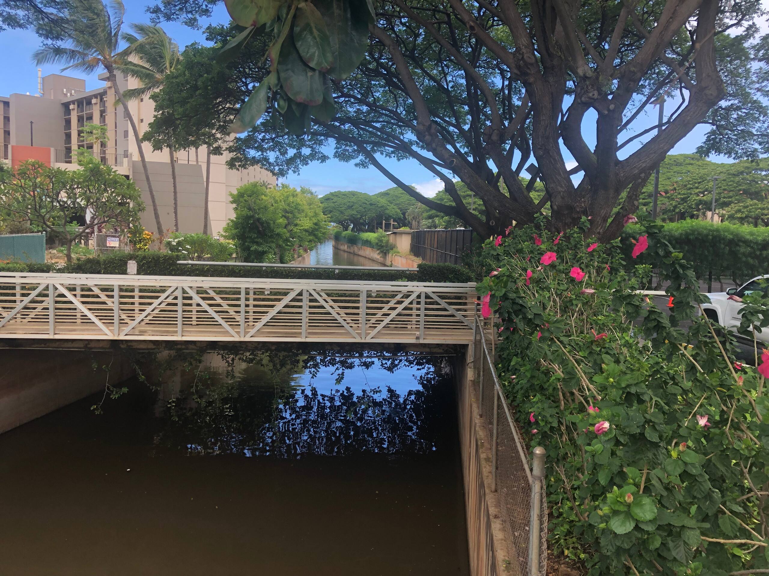 Condo in Lahaina · ★4.38 · 1 bedroom · 2 beds · 1 bath - Image 48