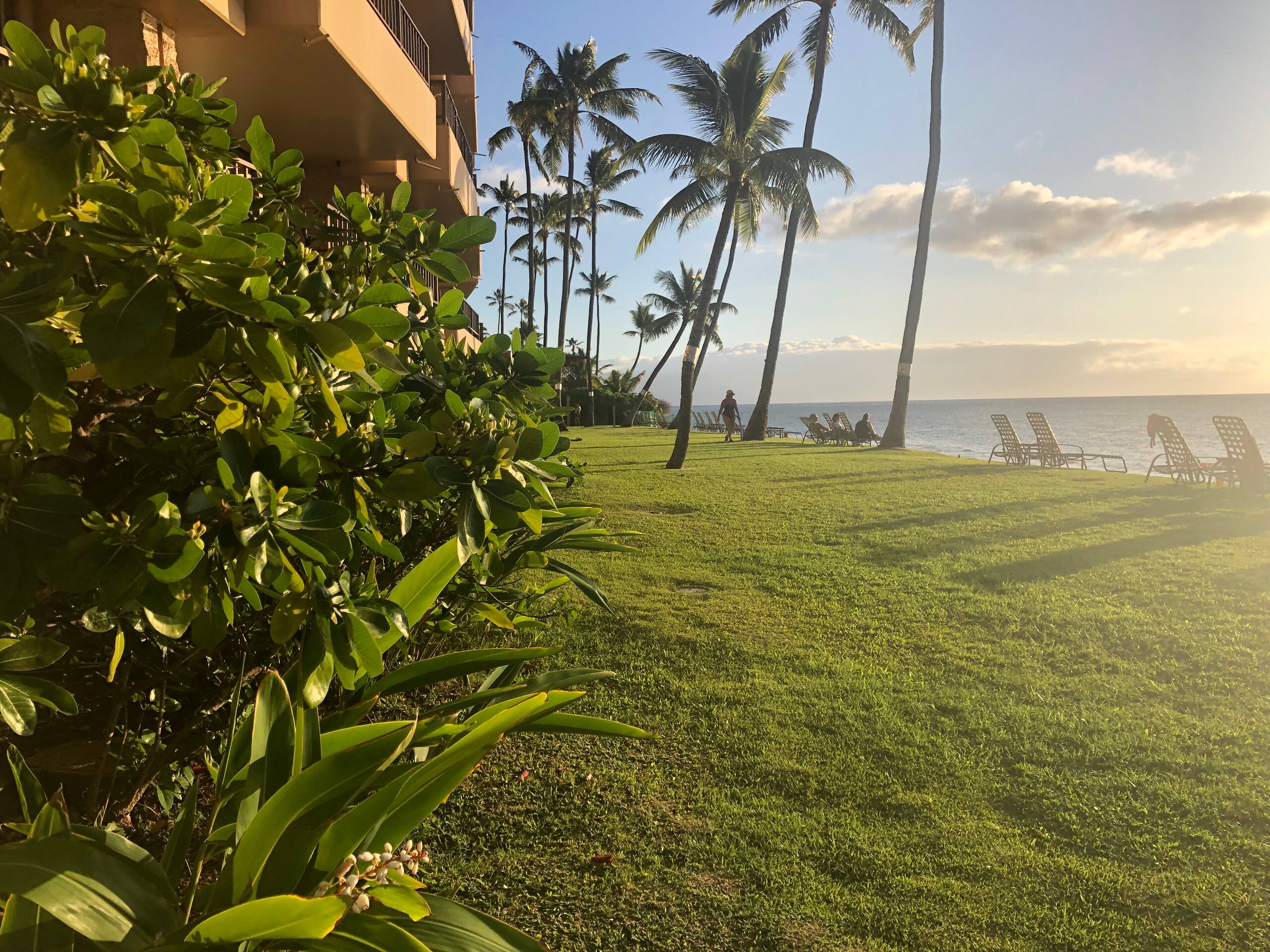 Condo in Lahaina · ★4.38 · 1 bedroom · 2 beds · 1 bath - Image 42