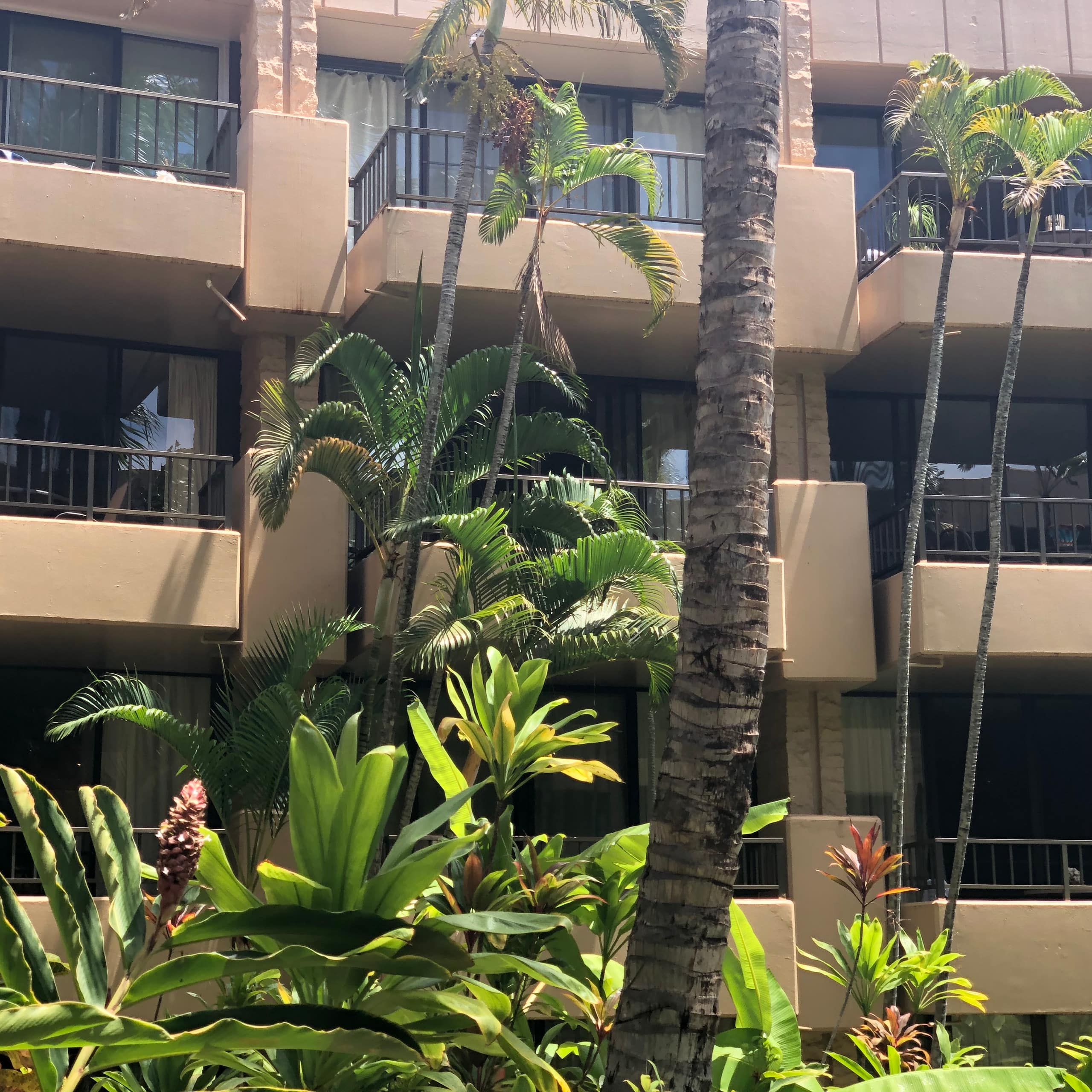 Condo in Lahaina · ★4.38 · 1 bedroom · 2 beds · 1 bath - Image 43