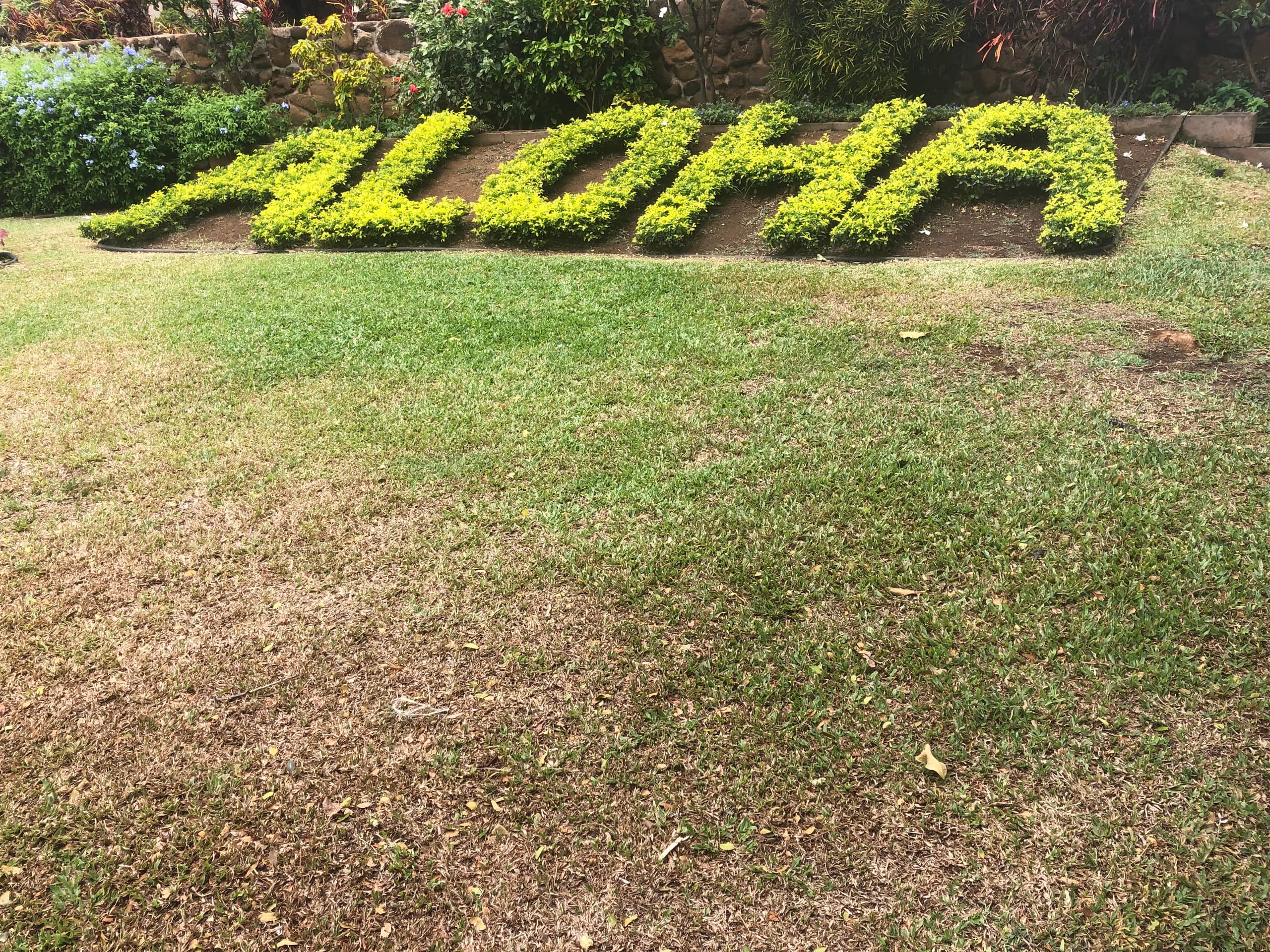 Condo in Lahaina · ★4.38 · 1 bedroom · 2 beds · 1 bath - Image 49
