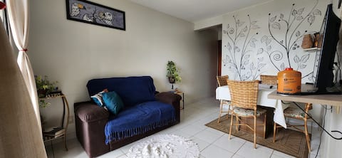 Comfortable Apt in Beira Rio